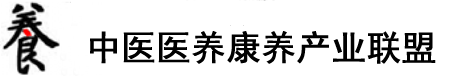 肏女人屄在线观看